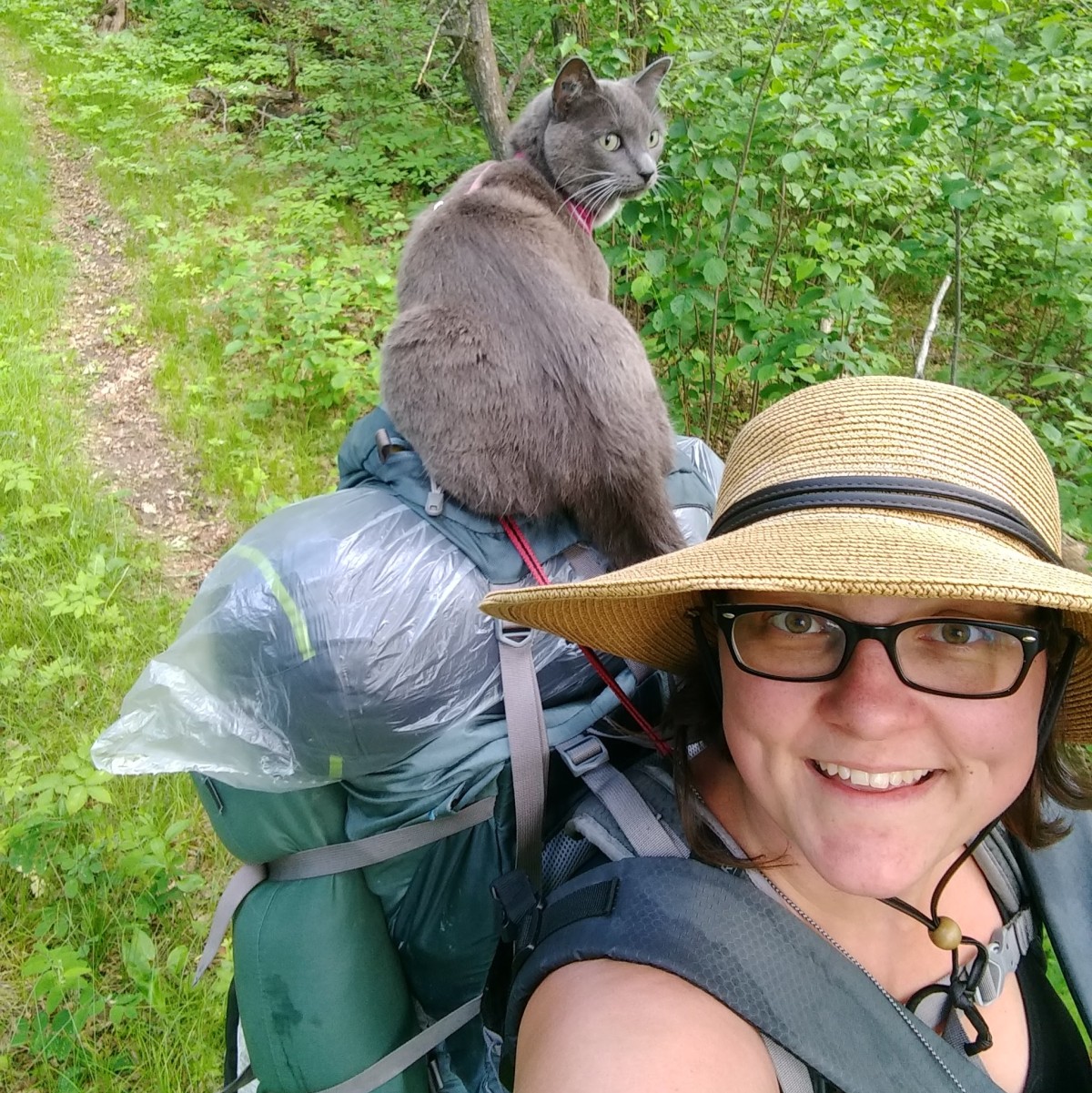 Steffi LaZerte Steffi LaZerte